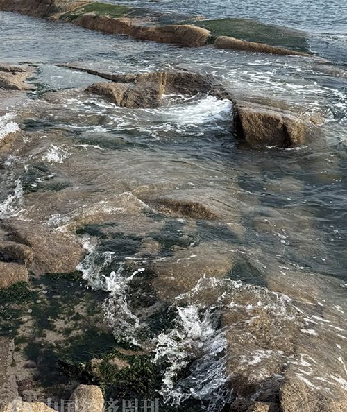 青岛：海的乡愁，酒的酣畅