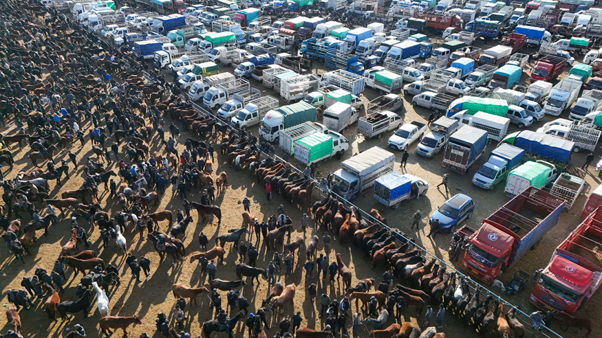 在新疆的巴扎 他们是连接牧场和市场的“纽带”