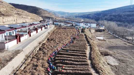 1765868025683572.png 照片1.png