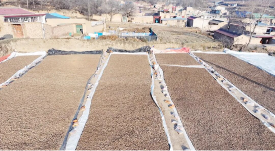 1765868030971658.png 照片2.png