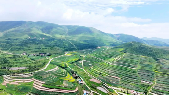 1765868037222893.png 照片3.png