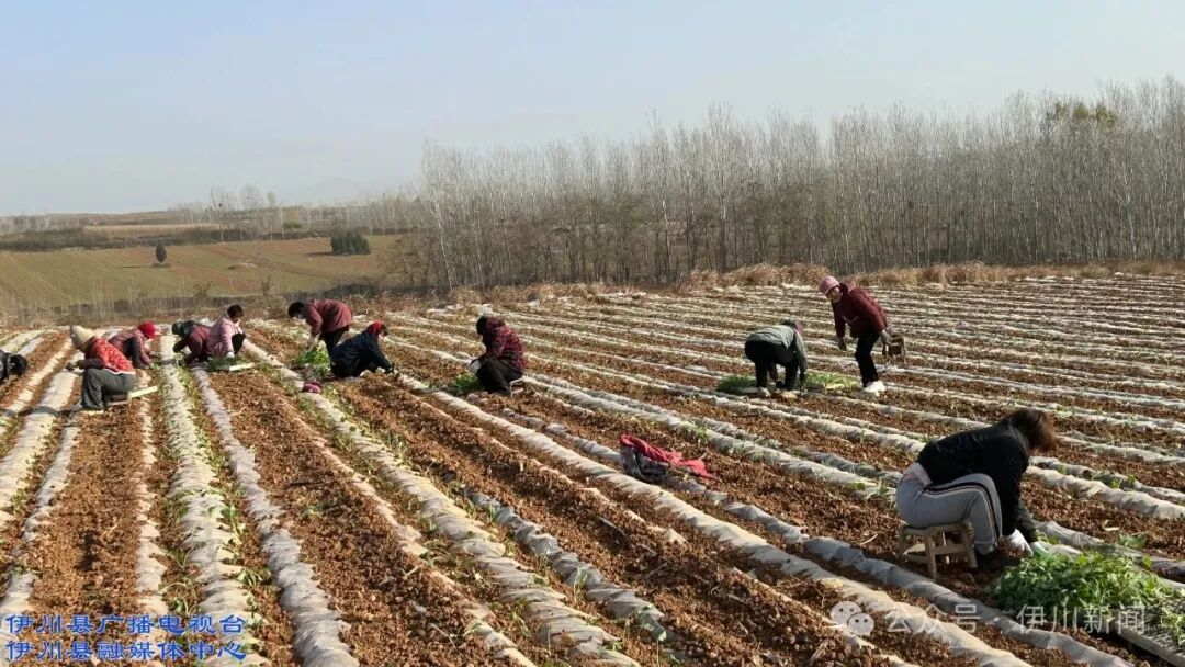 1765874885766931.png 图片1.png