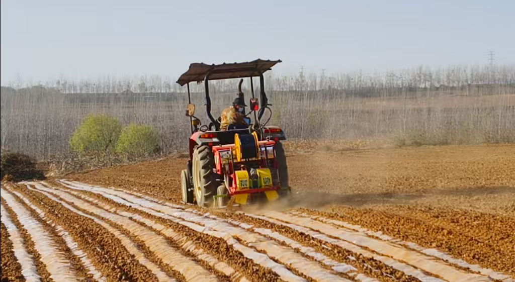 1765874906708092.png 图片2.png