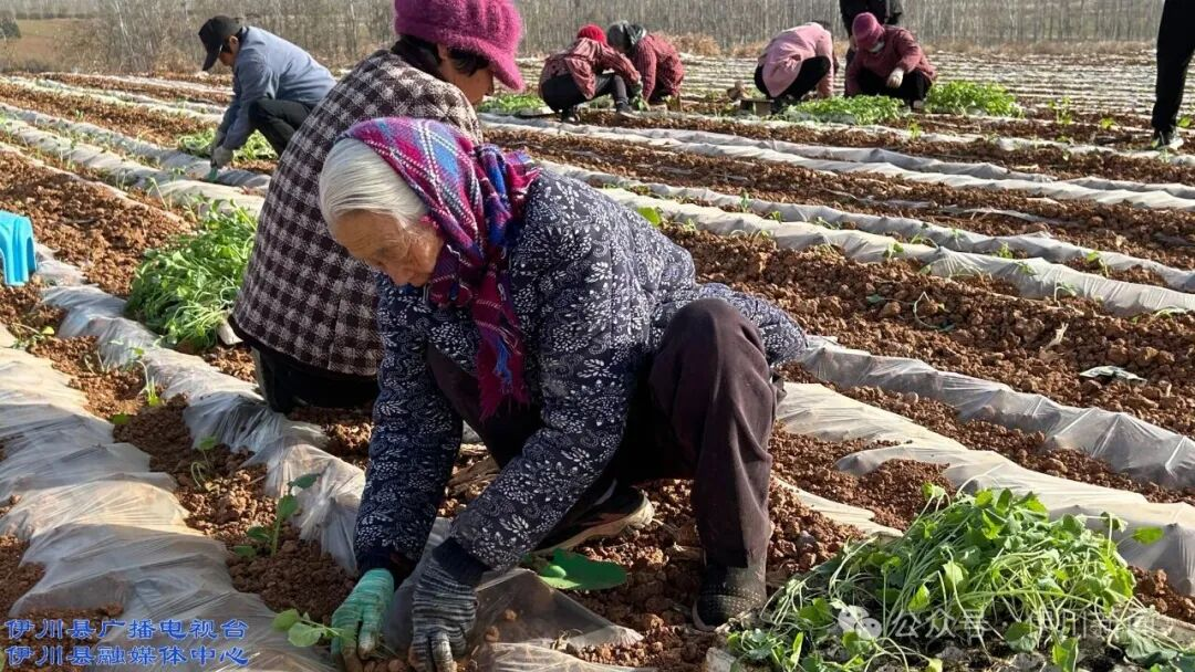 1765874911532126.png 图片3.png