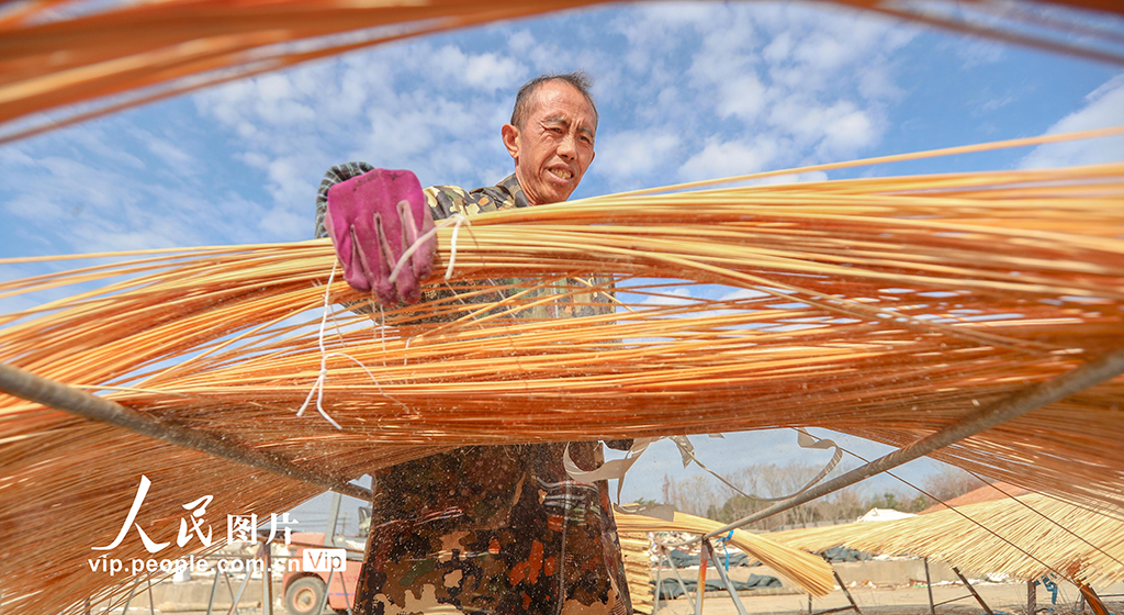 浙江长兴：竹子加工助力乡村振兴