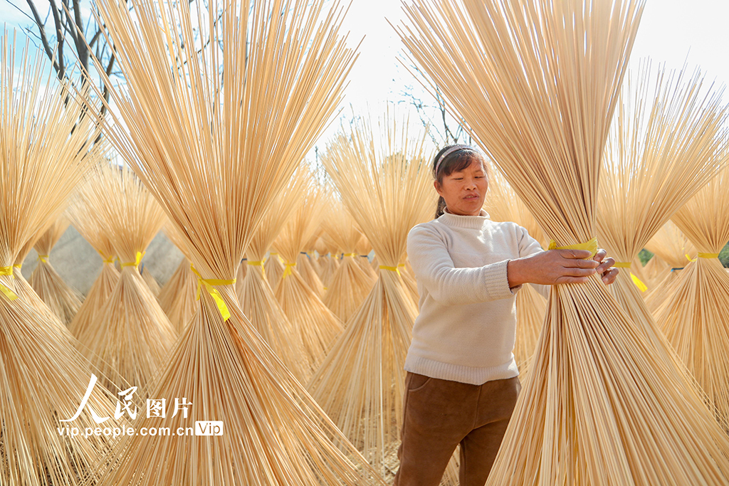 浙江长兴：竹子加工助力乡村振兴【2】