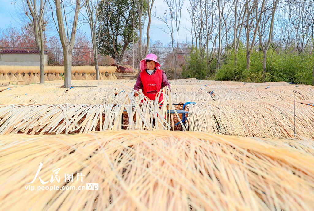 浙江长兴：竹子加工助力乡村振兴【5】