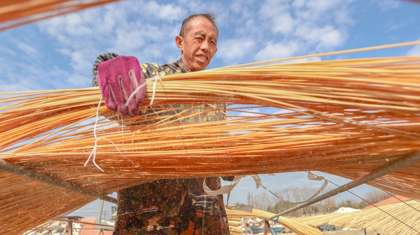 浙江长兴：竹子加工助力乡村振兴
