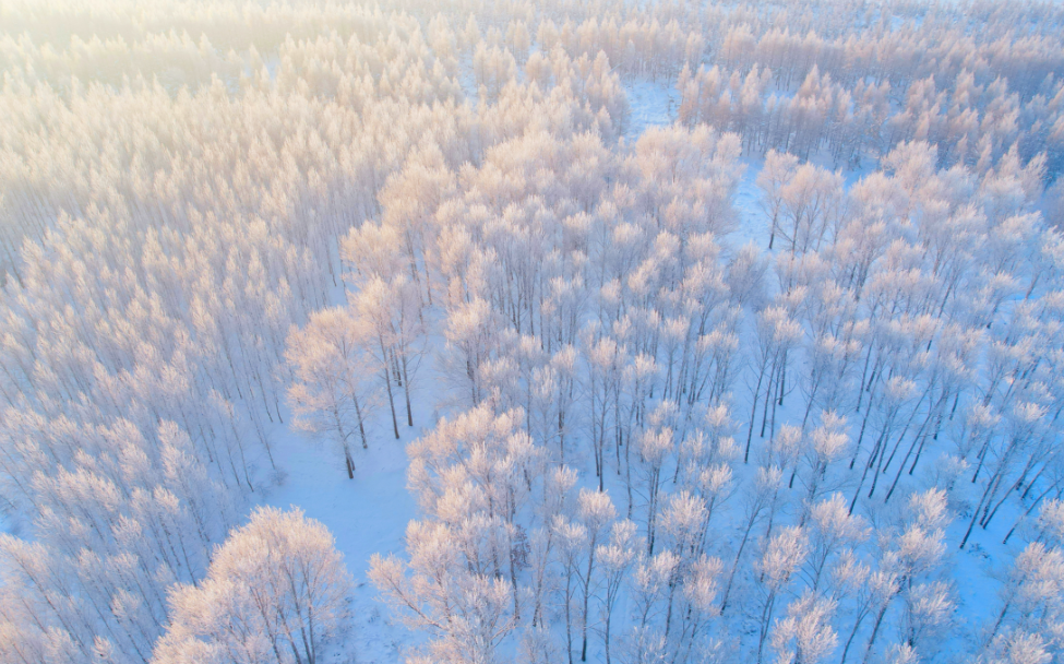 1766038335517728.png 11.png