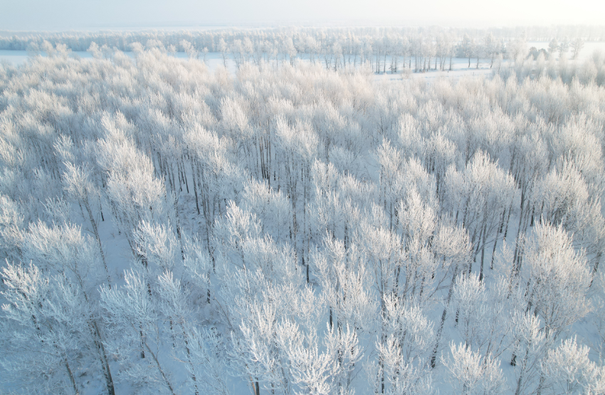 1766038341132274.png 22.png