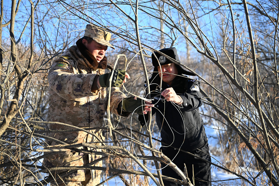 1766043991452606.jpg DSC_1045.JPG