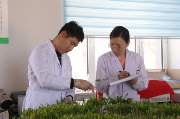 1766045859246636.png 11.png