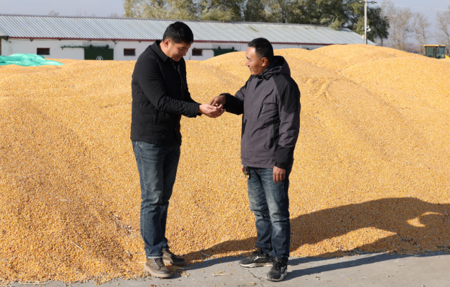 1766045882621117.png 33.png