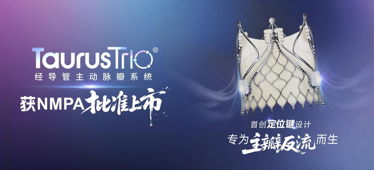 1766128313696306.png 11.png