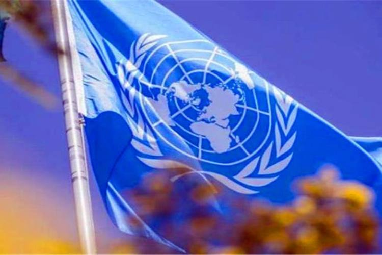 “一分钱都没交”，美国仍拖欠联合国会费