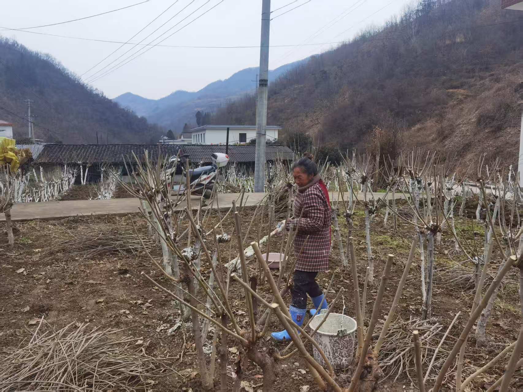 1766557480546290.jpg mmexport1766537314858.jpg