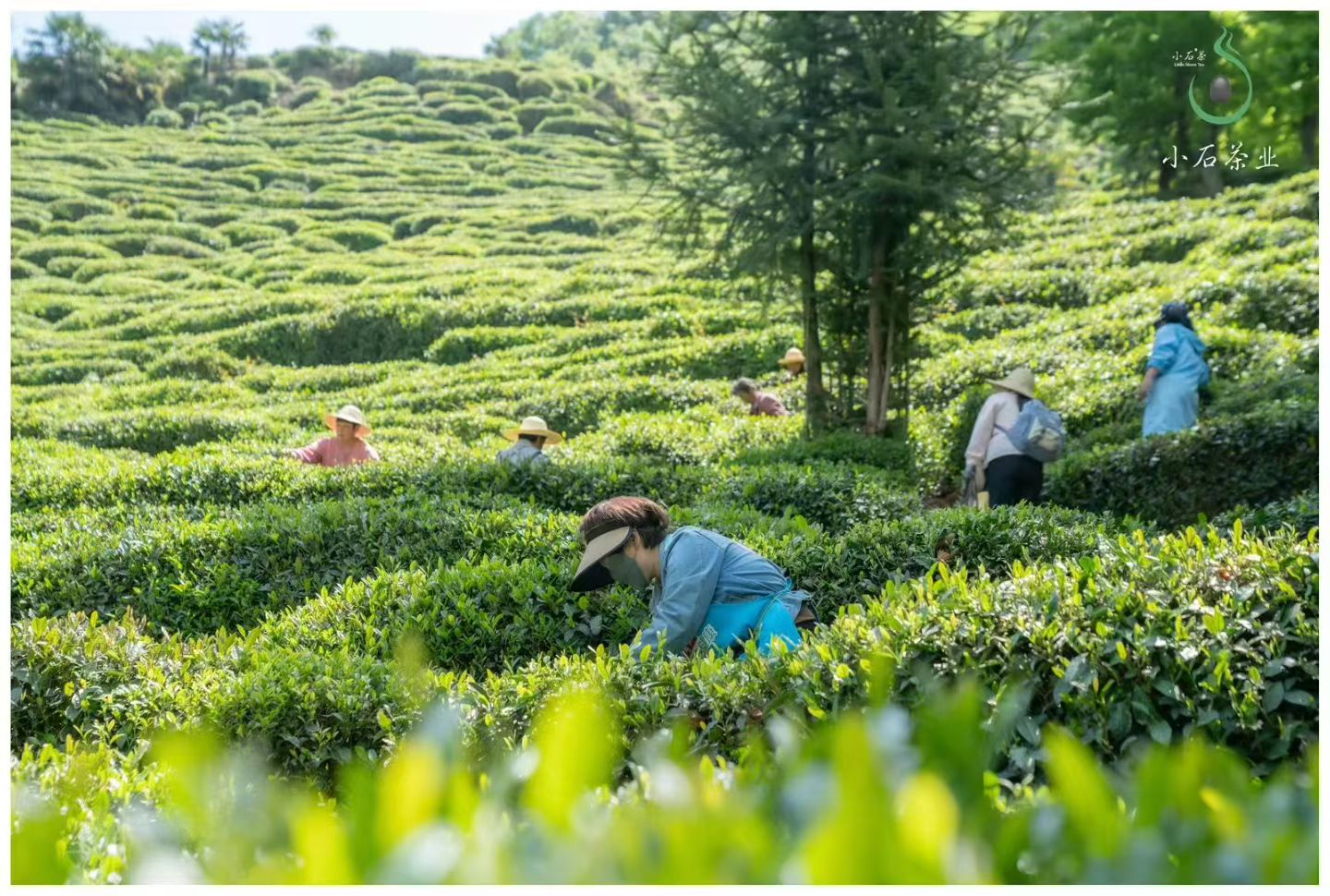 1766564164297188.png 4c49a175-89c5-40d3-a297-161498bf3505.png