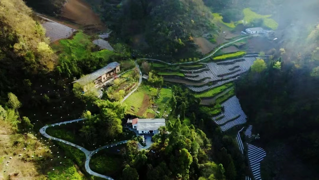 1766564171691535.png d988fe3c-8e05-42b4-85af-f5cbfed8c85a.png