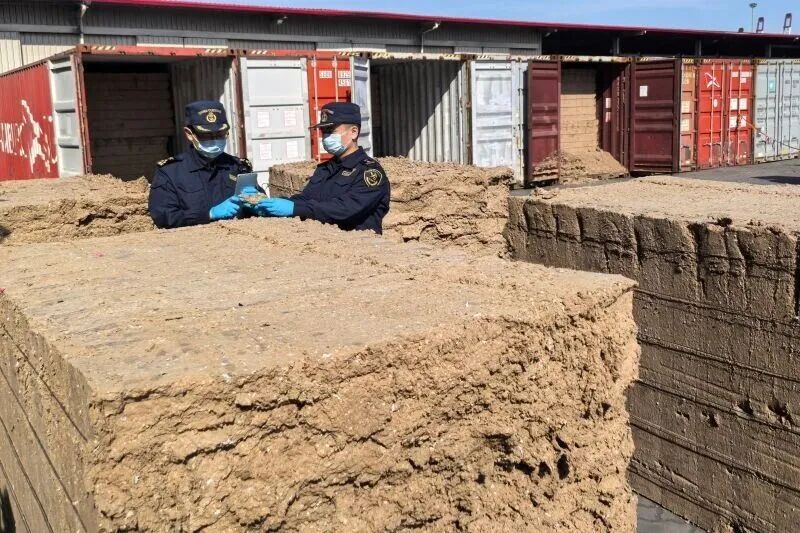 “带病”进口屡禁不止！这些“洋垃圾”为何管不住