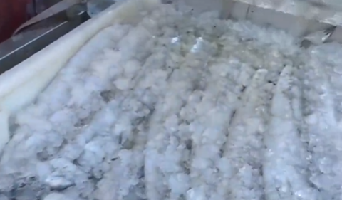 经销商在抢“它”！今年太紧俏了