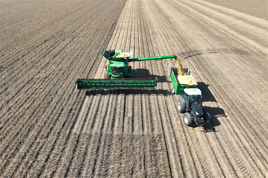 逊克农场有限公司大豆收获作业现场 霍春旭摄.JPG