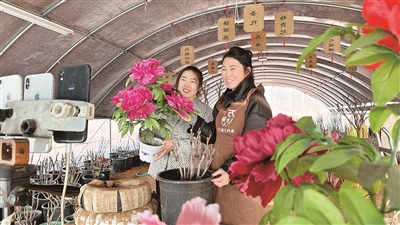 1767084520110938.png 图片1.png