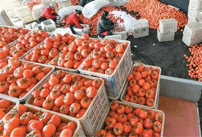 农业现代化水平不断提高