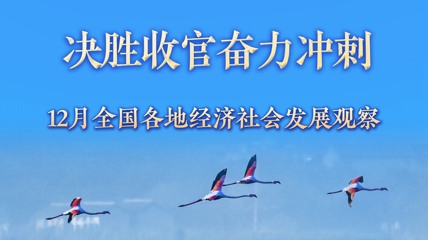稳中求进每月看丨决胜收官奋力冲刺——12月全国各地经济社会发展观察