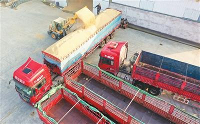 大国粮仓家底更厚实