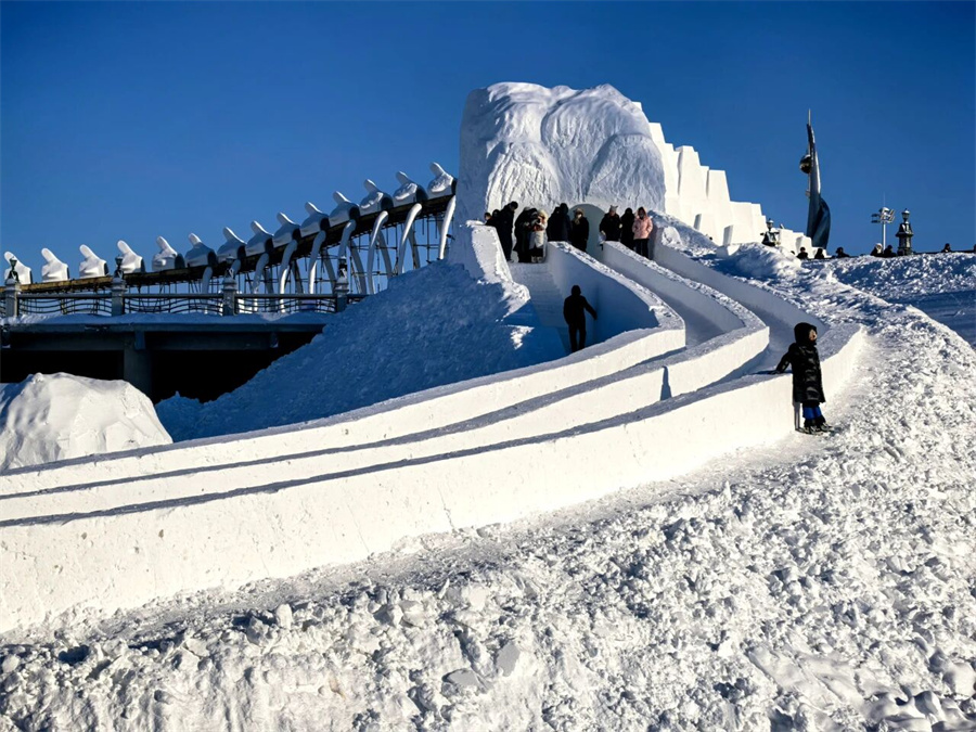 1767596308266765.jpg 主题滑梯.jpg