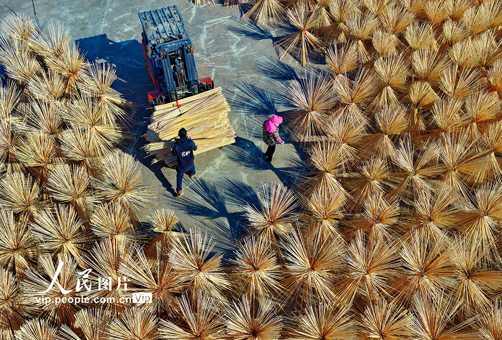 江西广昌：竹产业助农增收【4】