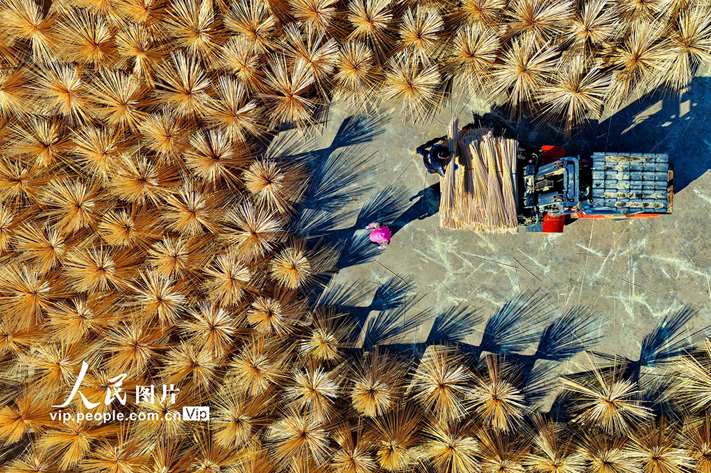 江西广昌：竹产业助农增收【5】