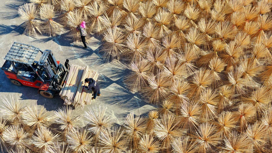 江西广昌：竹产业助农增收