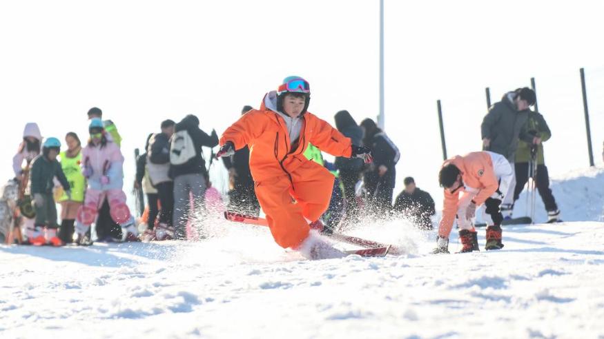 从赛事到传播，从融合到创新——各界人士探讨体育产业破局之道