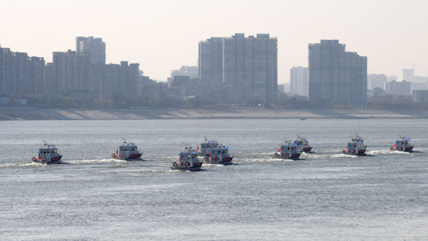 长江禁渔五年，发生了哪些变化？