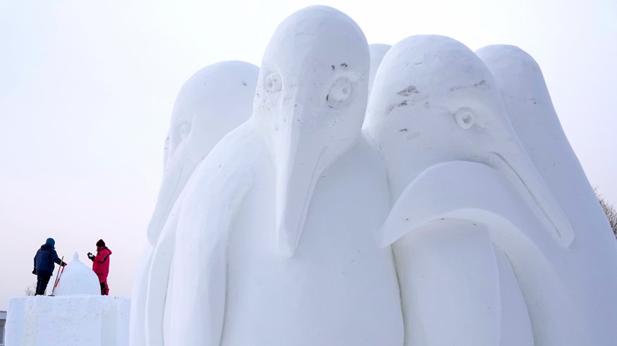 哈尔滨国际雪雕比赛：“三九”天 露芳容