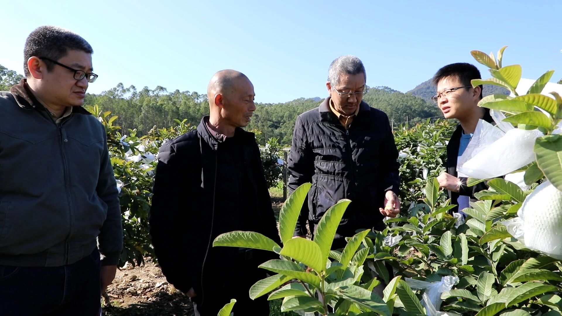 1767942766488757.jpg 专家下地指导.jpg