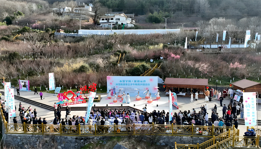 图1 子午梅苑开园活动.jpg