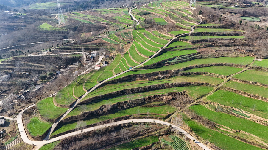 1768289462343074.jpg 图片1.jpg