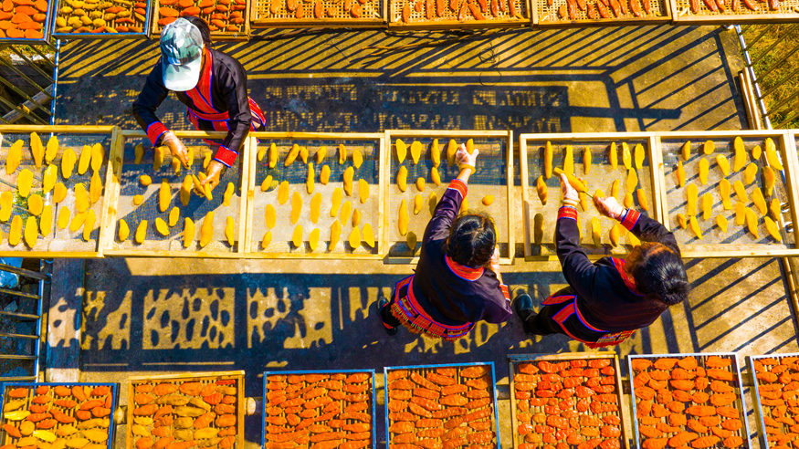 “三九”人间烟火气