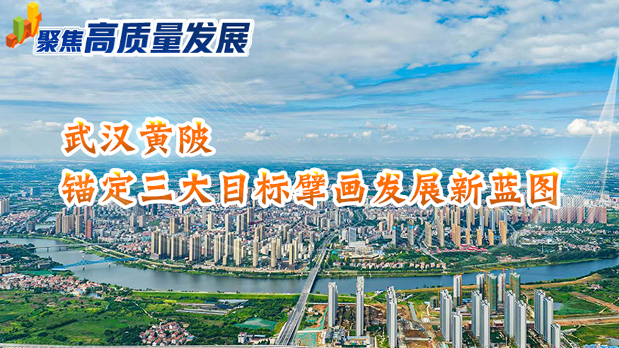 聚焦高质量发展丨武汉黄陂锚定三大目标擘画发展新蓝图