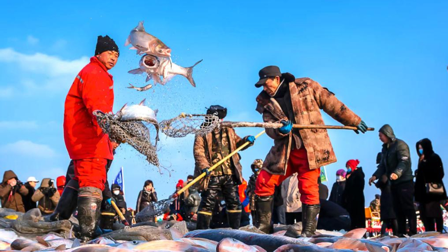 文旅新探丨吉林查干湖：冰湖腾鱼冬捕热