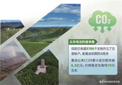 碳汇成“金” 育绿向“新”