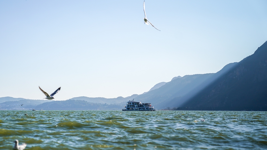 2025年滇池水质进一步改善 全湖水质稳定为Ⅳ类