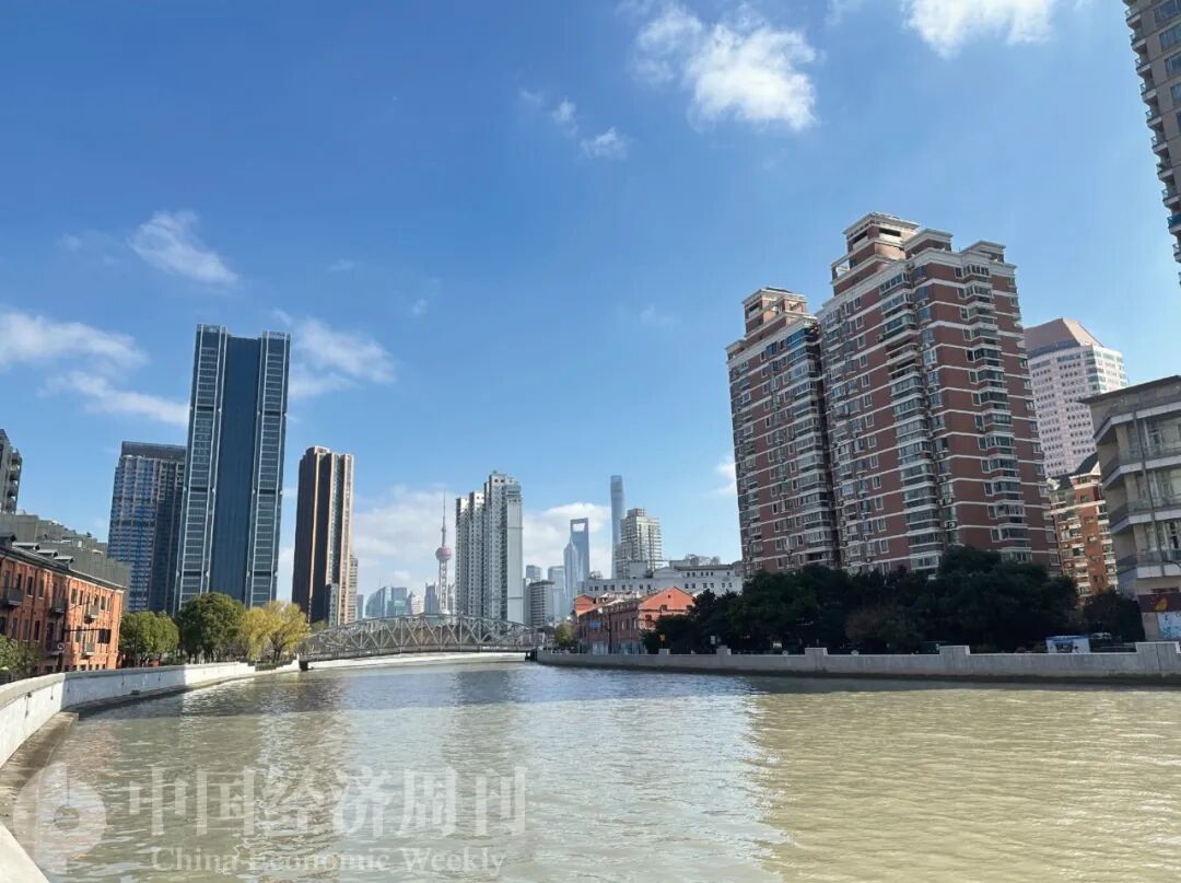 1769419264684832.jpg 2.jpg