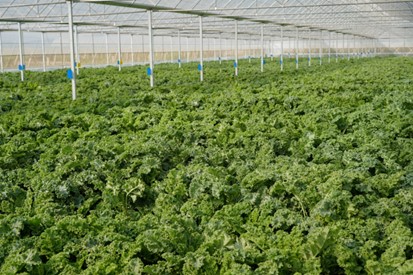 1769505785767862.jpg 1.jpg