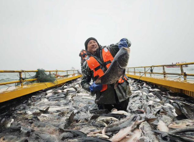 1769759236604452.png 22.png