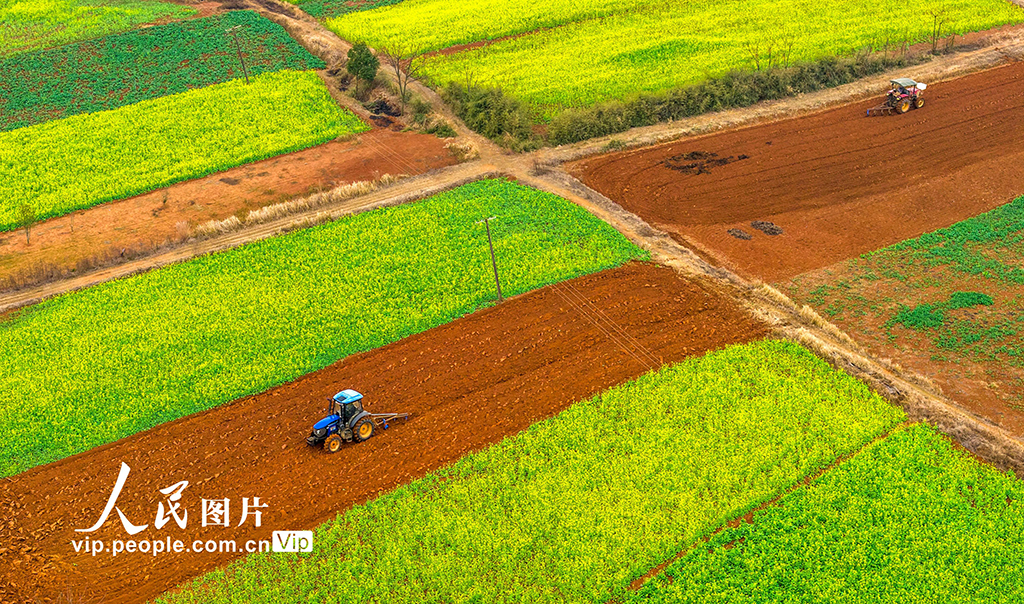 江西樟树：立春将至农事忙【3】