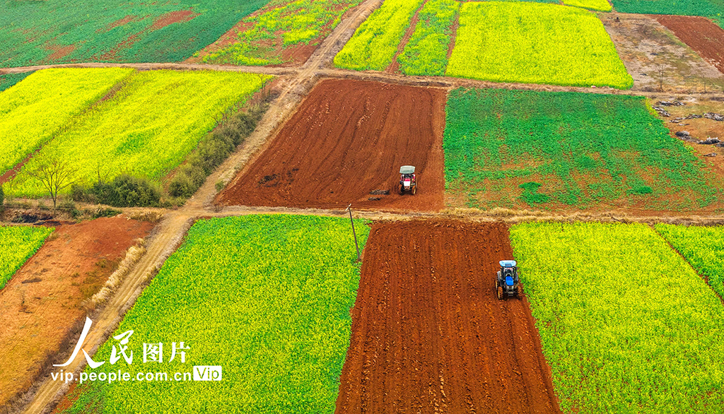 江西樟树：立春将至农事忙【4】