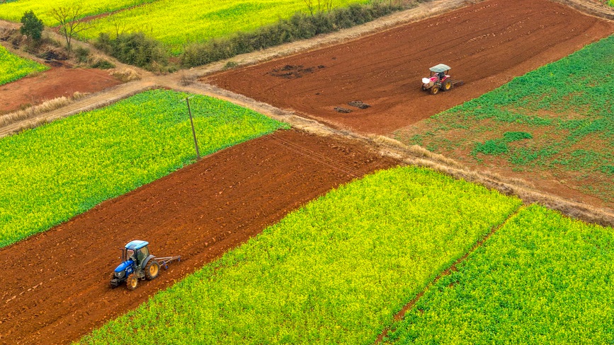 江西樟树：立春将至农事忙